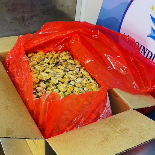 Disea O Sin Tatulo 8 A7CMOj3O9b2vko0Q